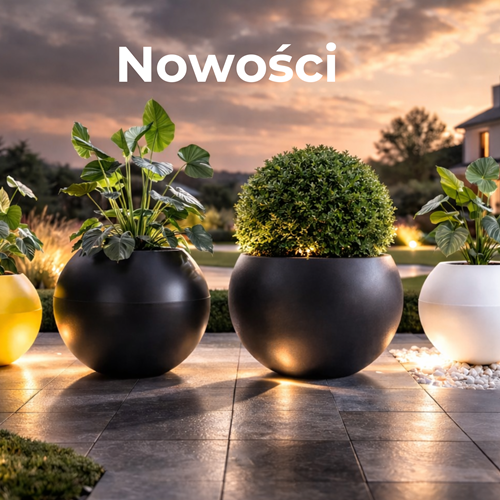 Nasze nowości